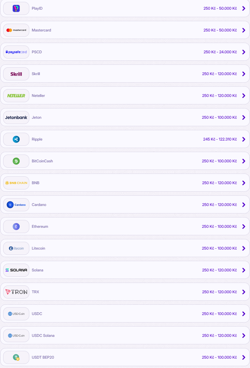 Robocat Casino Payments