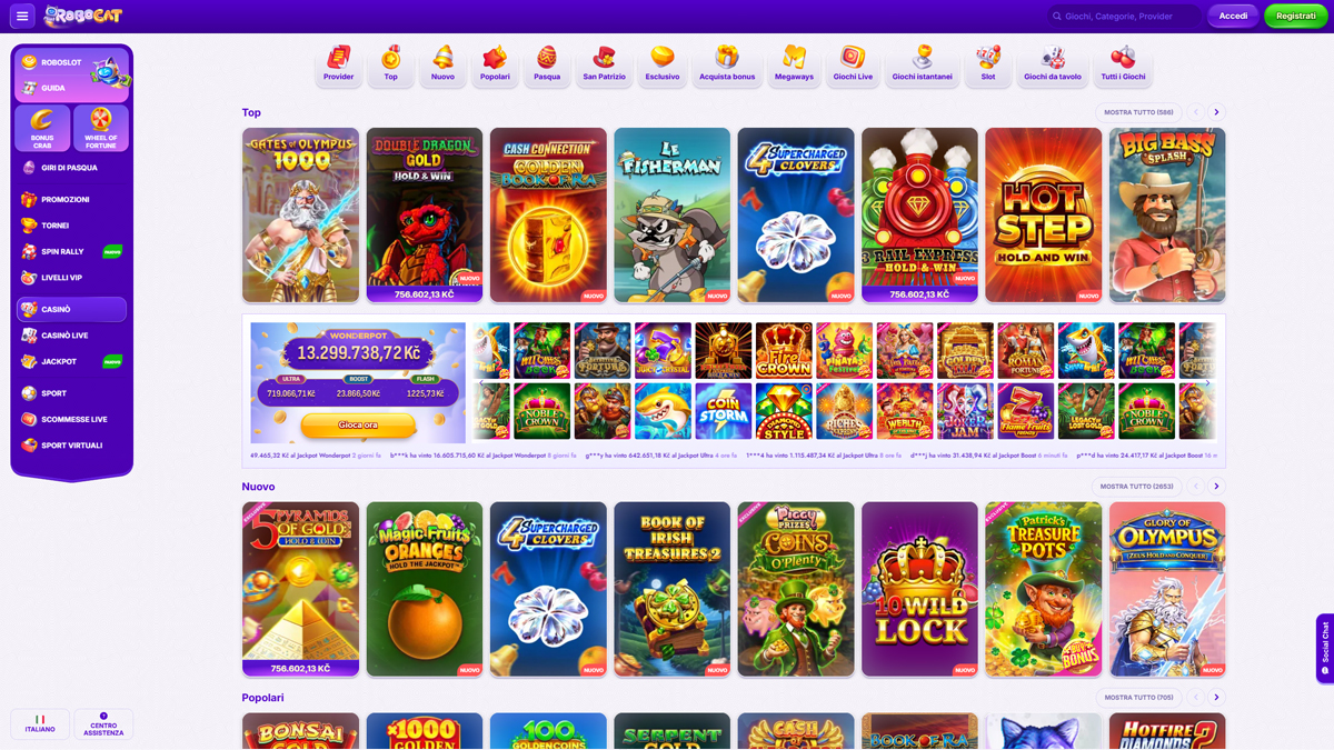 Robocat Casino Slots