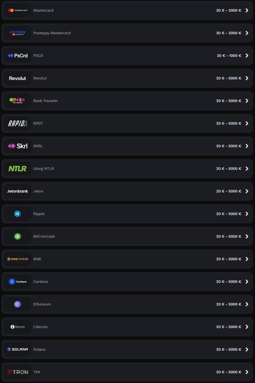 Wildsino Casino Payment