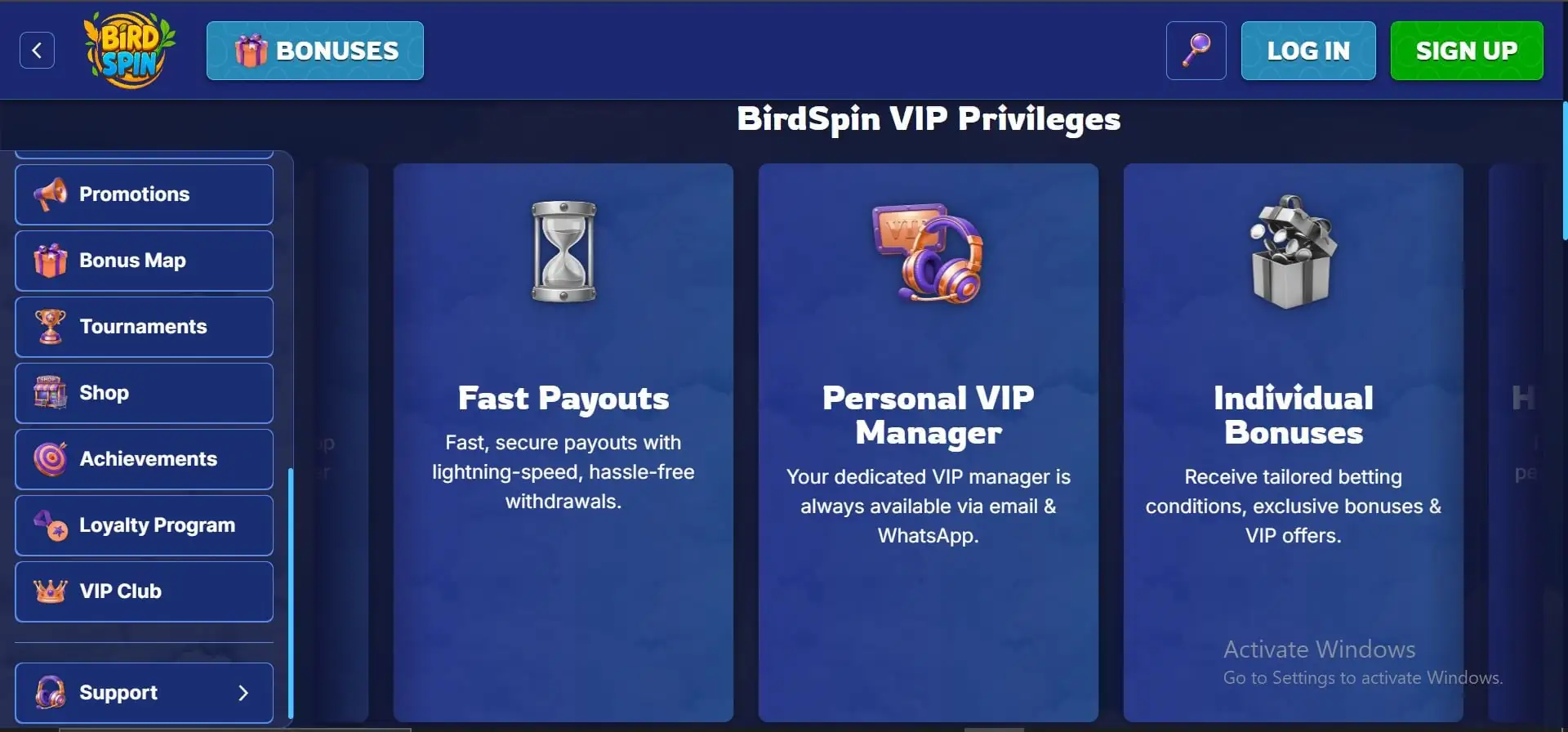 birdspin-casino-vip-program